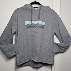 Patagonia Gray Hoodie with Colorful Logo